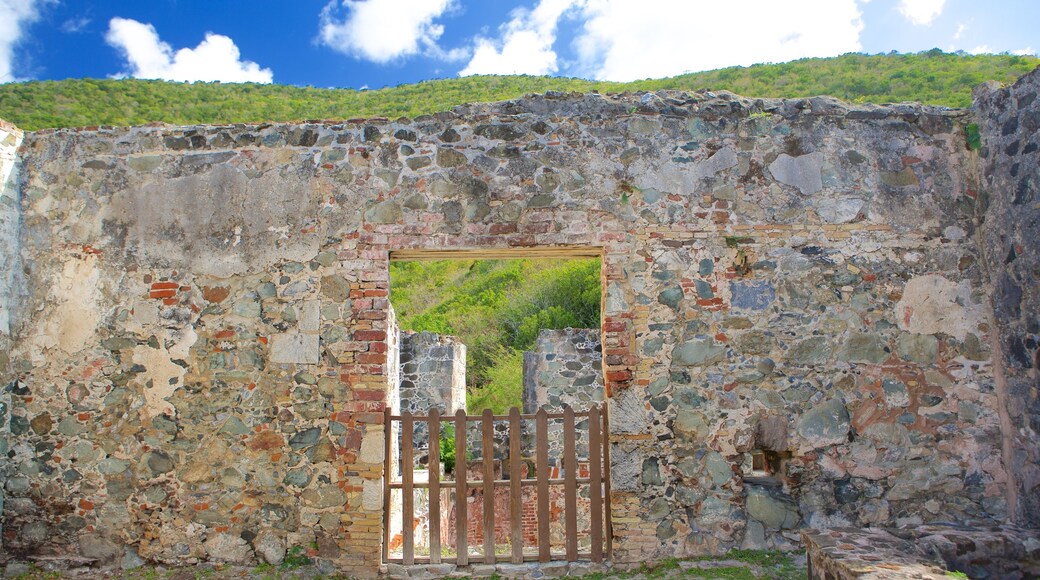 Plantación de Annaberg mostrando elementos del patrimonio y ruinas de edificios