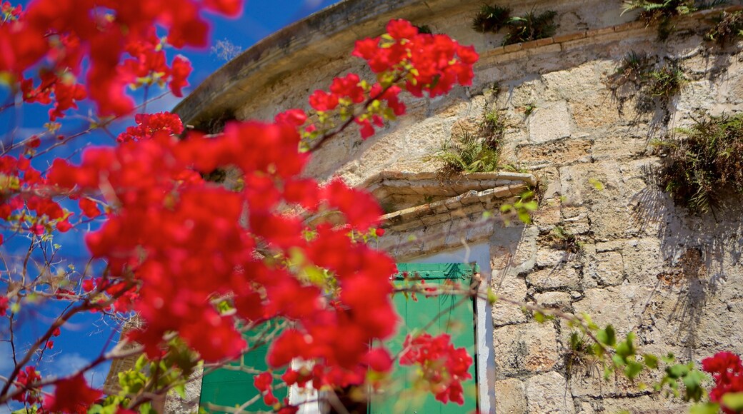 Whim Plantation Museum which includes heritage elements and flowers