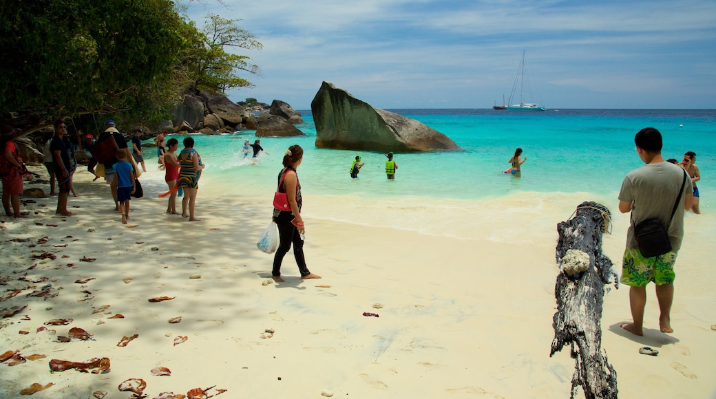 Ko Similan National Park showing a beach as well as a small group of people