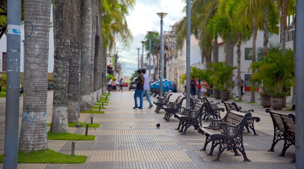 Santa Cruz mettant en vedette scĂšnes de rue et square ou place