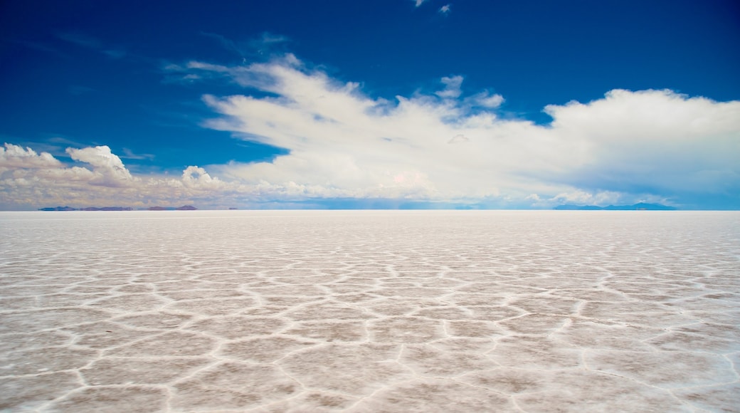 Salar de Uyuni -suolatasanko