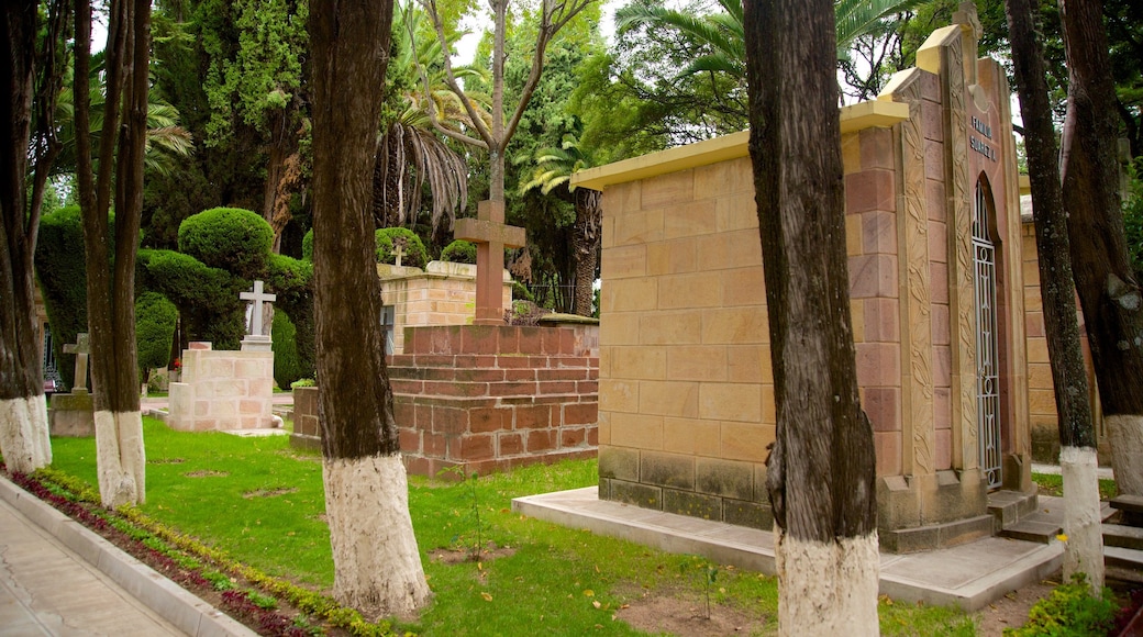 Subandino mostrando un cementerio