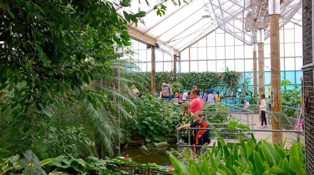 Butterfly Creek showing zoo animals as well as a small group of people