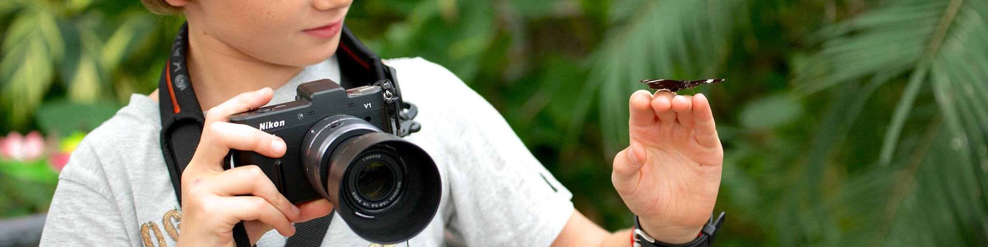 Butterfly Creek which includes animals as well as an individual child