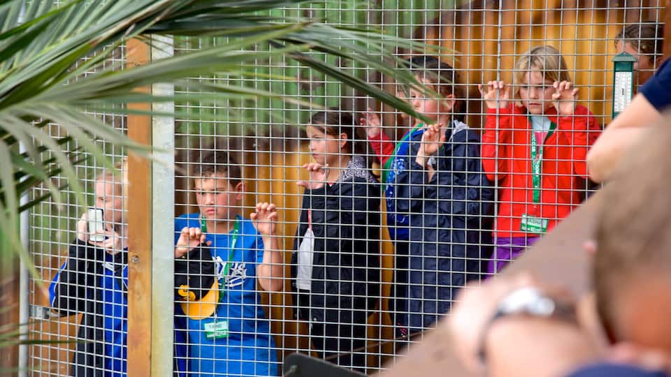 Butterfly Creek showing zoo animals as well as a small group of people