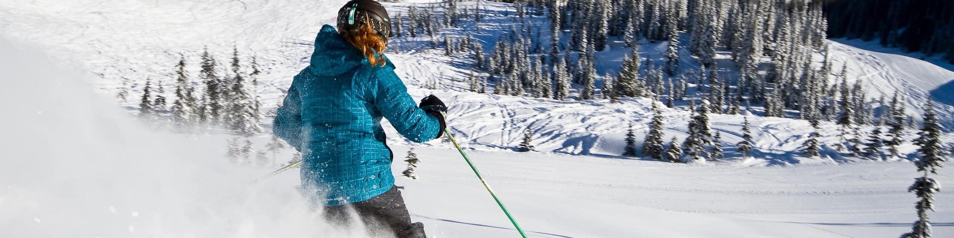 Fernie Alpine Resort which includes snow and snow skiing