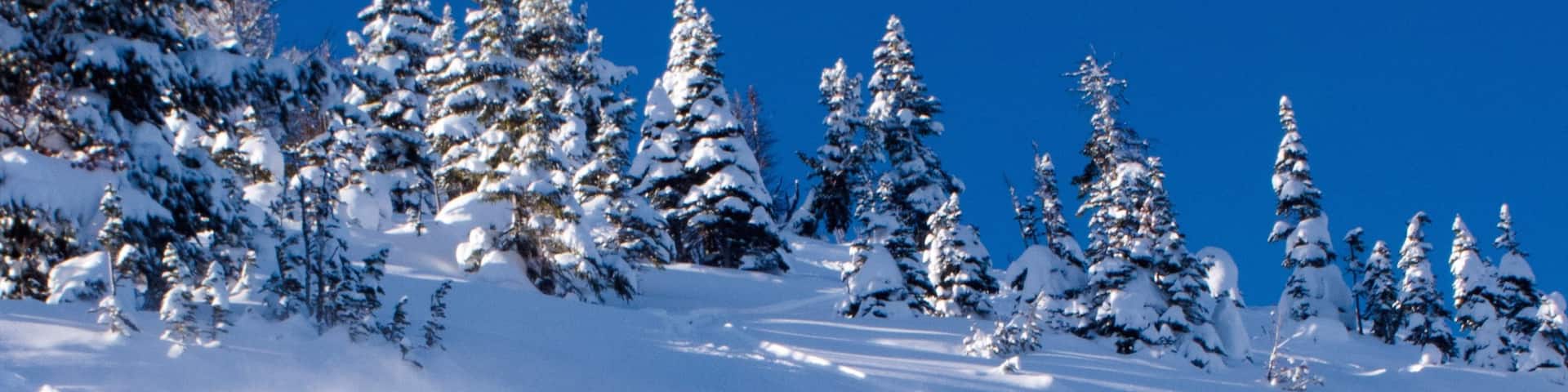 Kicking Horse Mountain Resort featuring snow