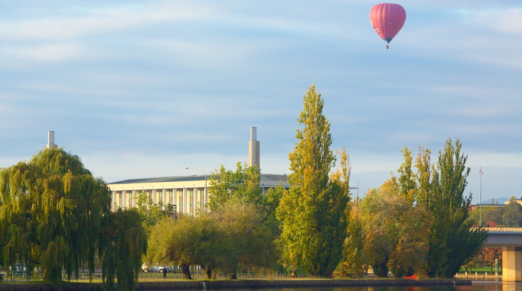 Territorio de la Capital Australiana ofreciendo globo aerostático y un jardín