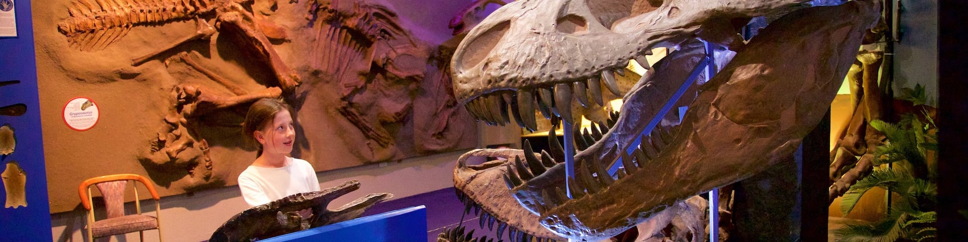 National Dinosaur Museum featuring interior views as well as an individual child