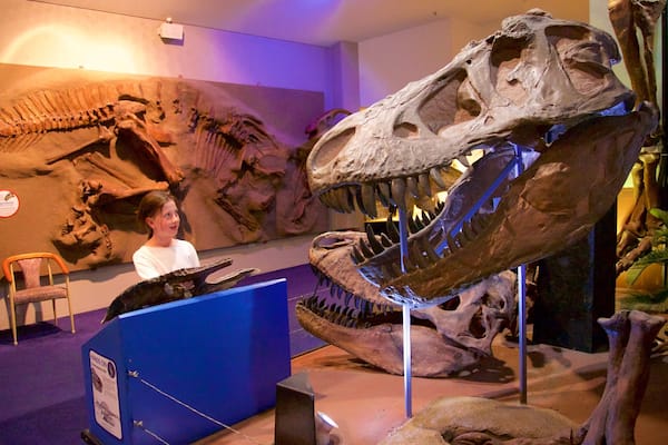 National Dinosaur Museum featuring interior views as well as an individual child