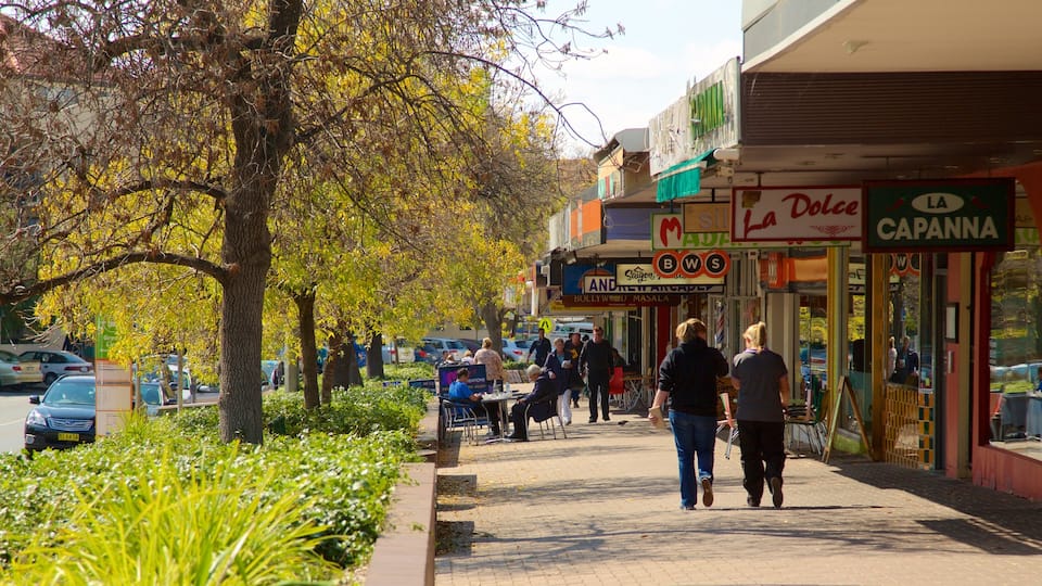 Kingston showing street scenes and signage