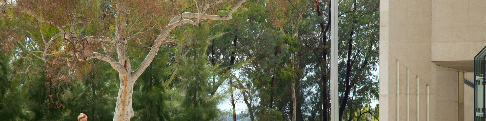 High Court of Australia showing a fountain