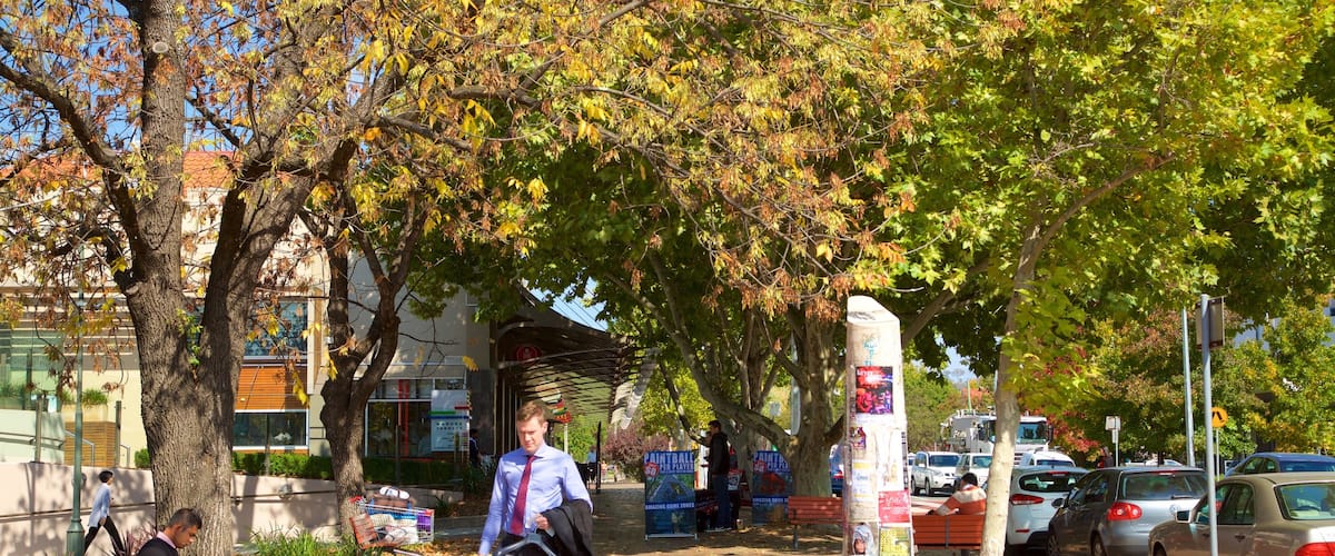 Manuka Shopping Centre showing street scenes and autumn leaves
