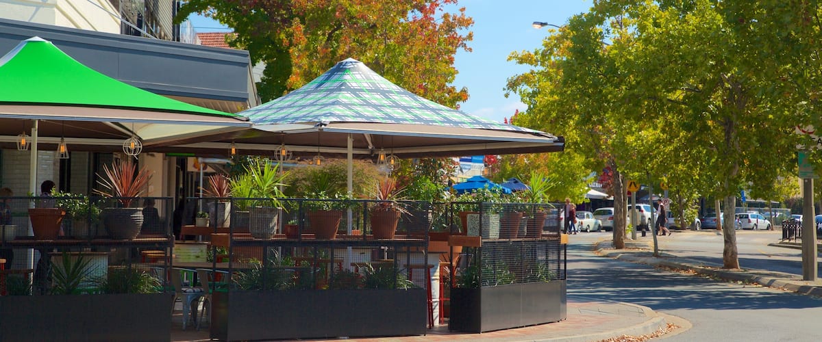 Manuka Shopping Centre featuring autumn colours