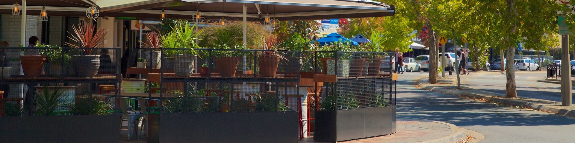 Manuka Shopping Centre which includes autumn leaves
