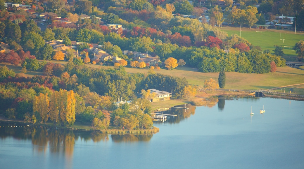 Telstra Tower showing fall colors, a park and a lake or waterhole