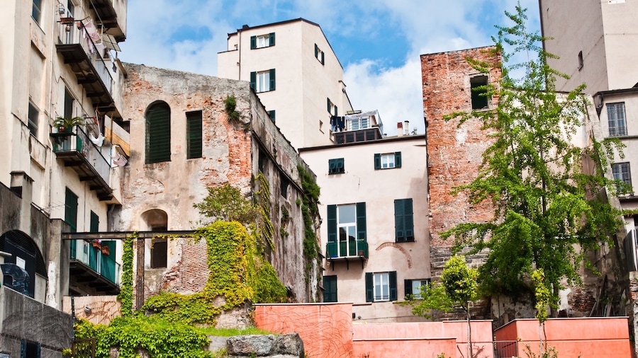 Savona mostrando elementos del patrimonio