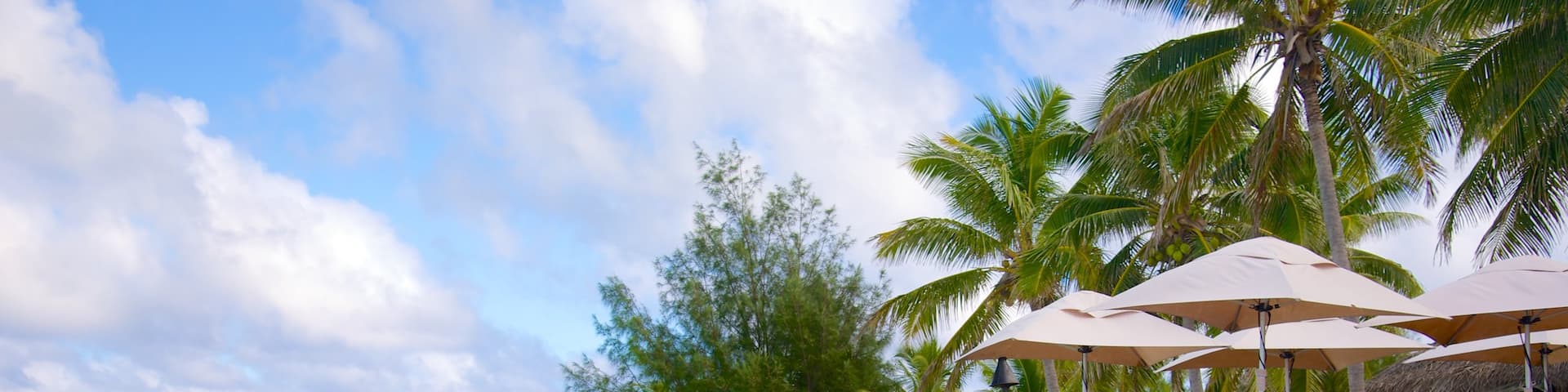 Akitua Island featuring a sandy beach and tropical scenes