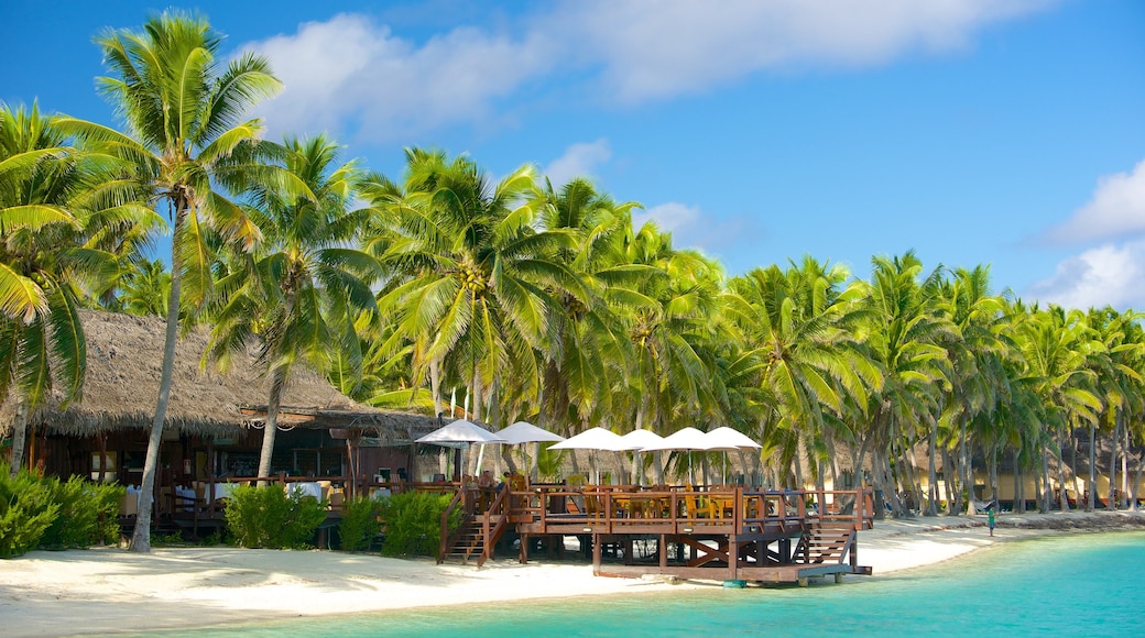 Akitua Island showing tropical scenes and a beach