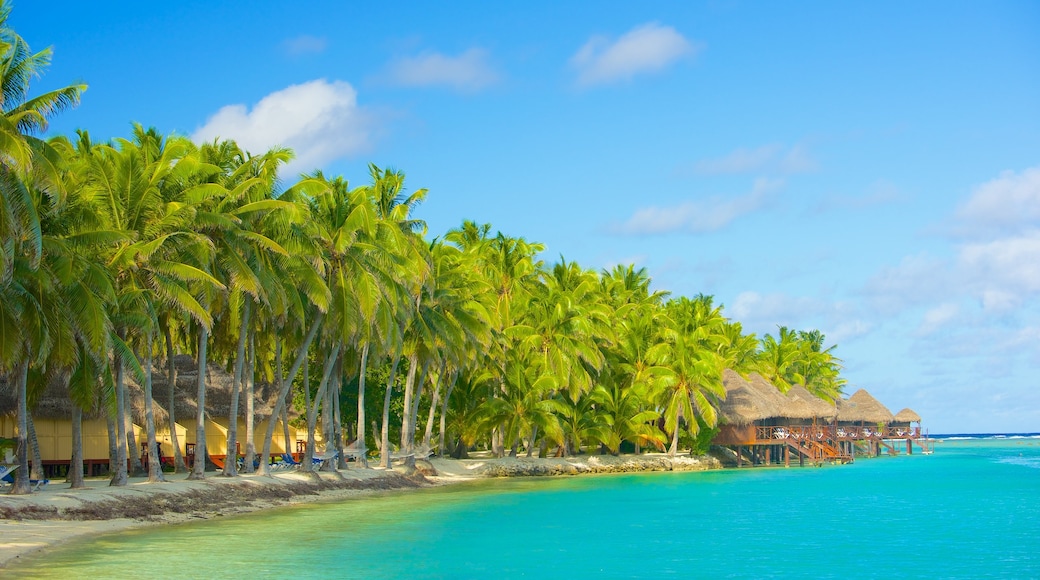 Akitua Island showing tropical scenes and general coastal views