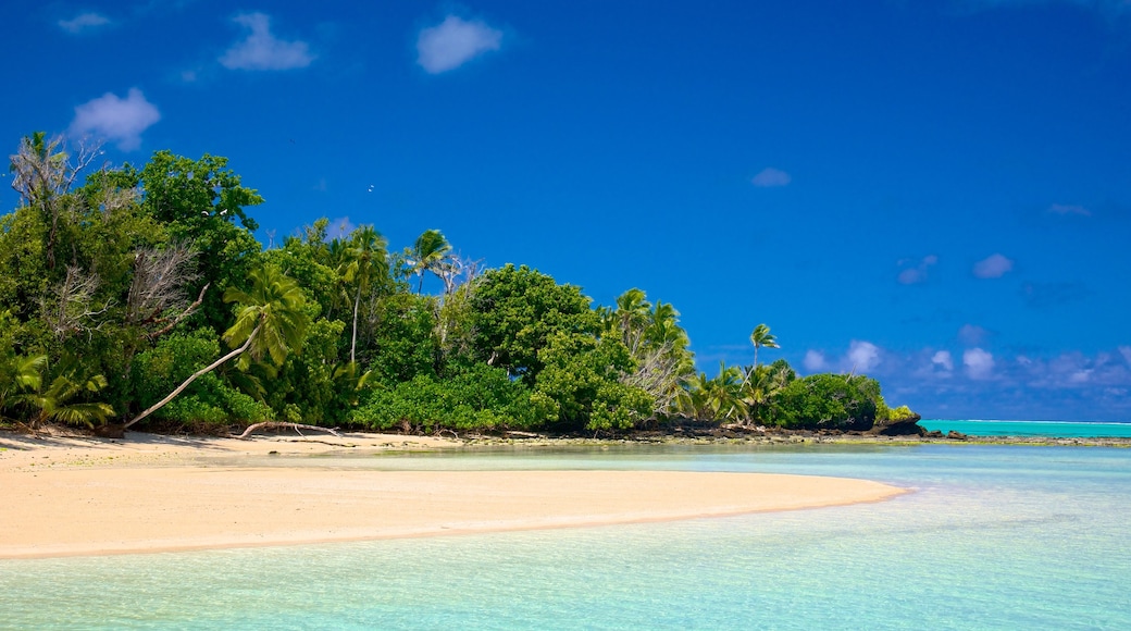 Aitutaki which includes tropical scenes and a sandy beach