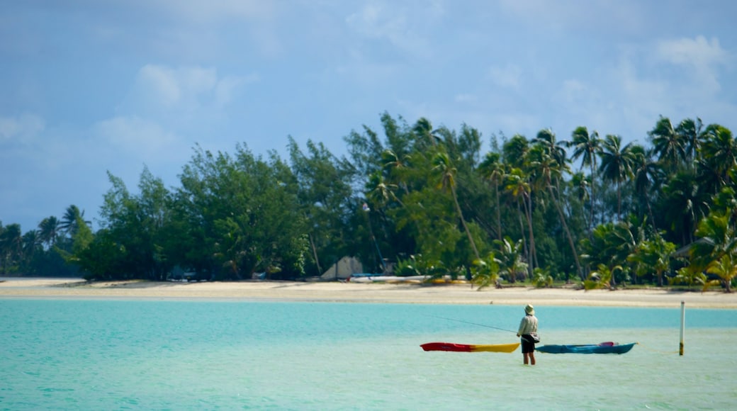 Cook Islands featuring a sandy beach and fishing as well as an individual male