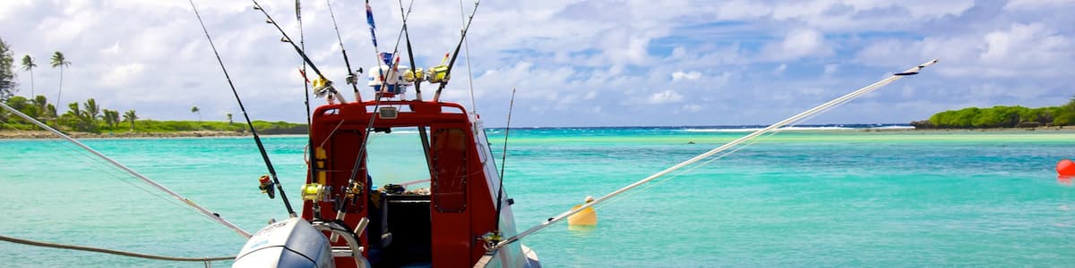 Muri Beach which includes general coastal views
