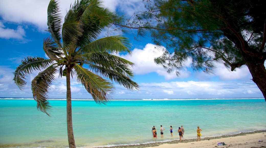 Tikioki Marine Sanctuary showing a beach and tropical scenes