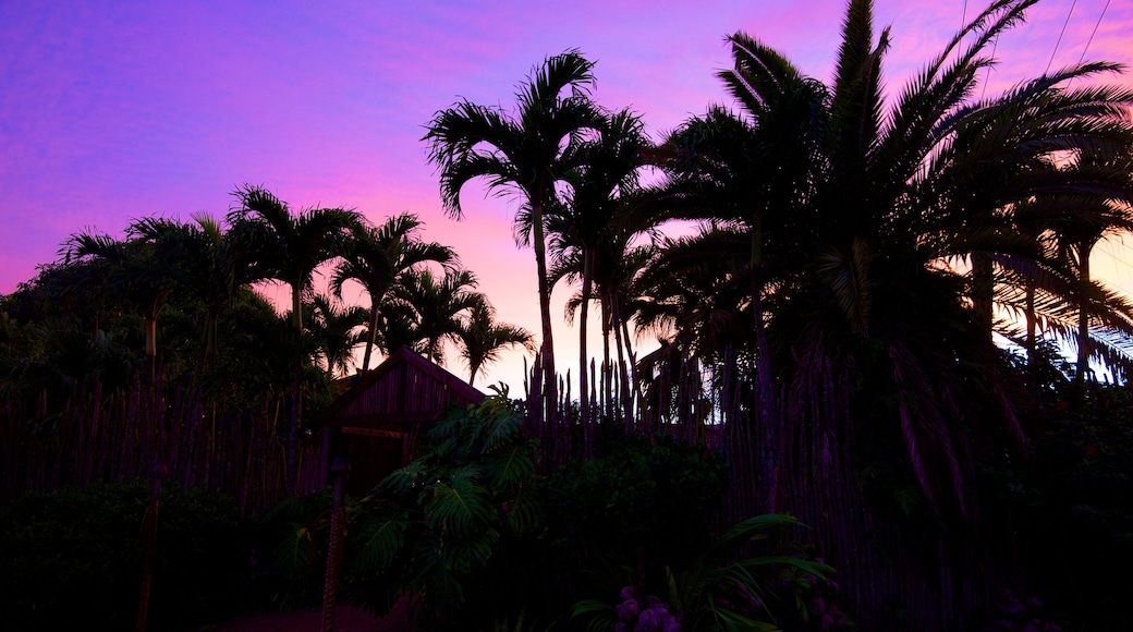 Rarotonga showing a sunset and tropical scenes