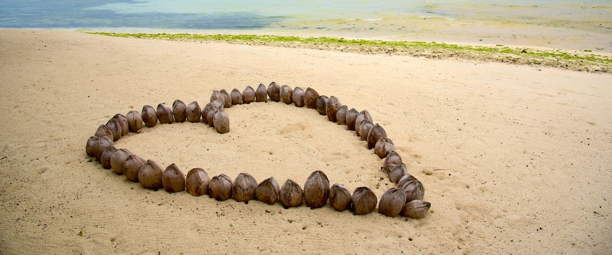 Rarotonga which includes a sandy beach