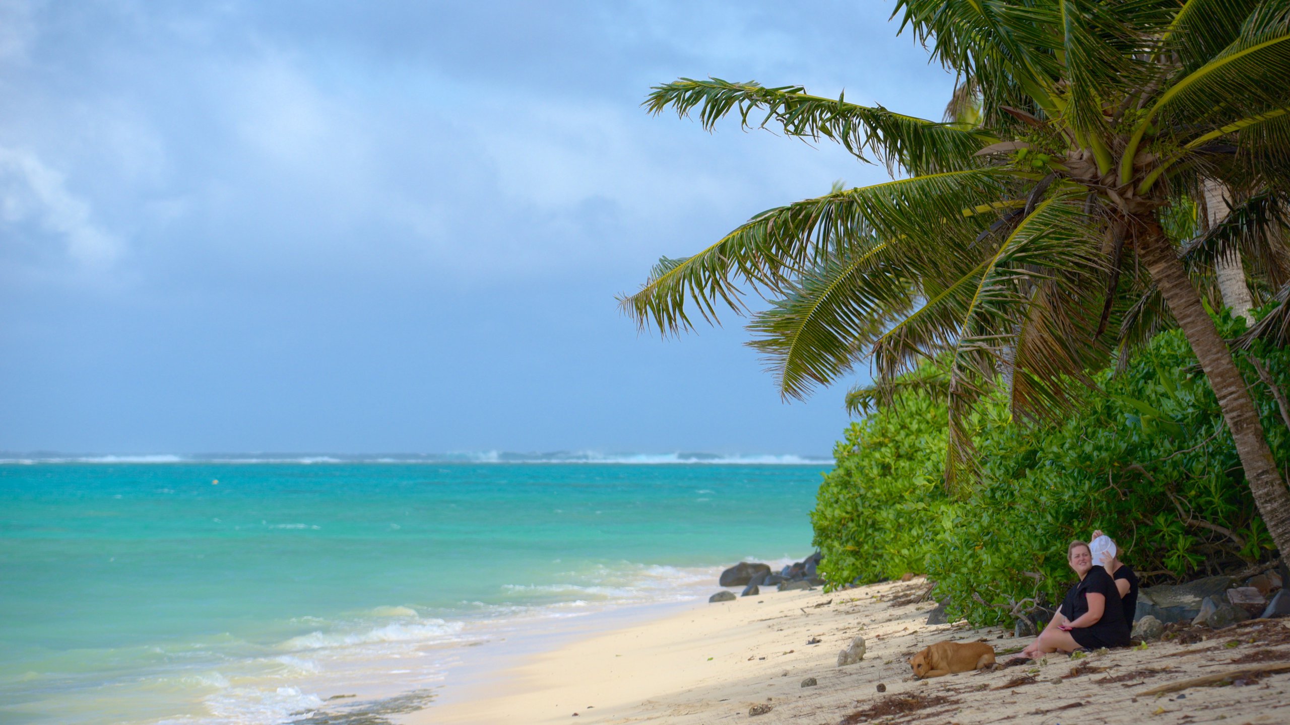 Îles Cook Location De Vacances à Partir De € 93nuit Abritel 