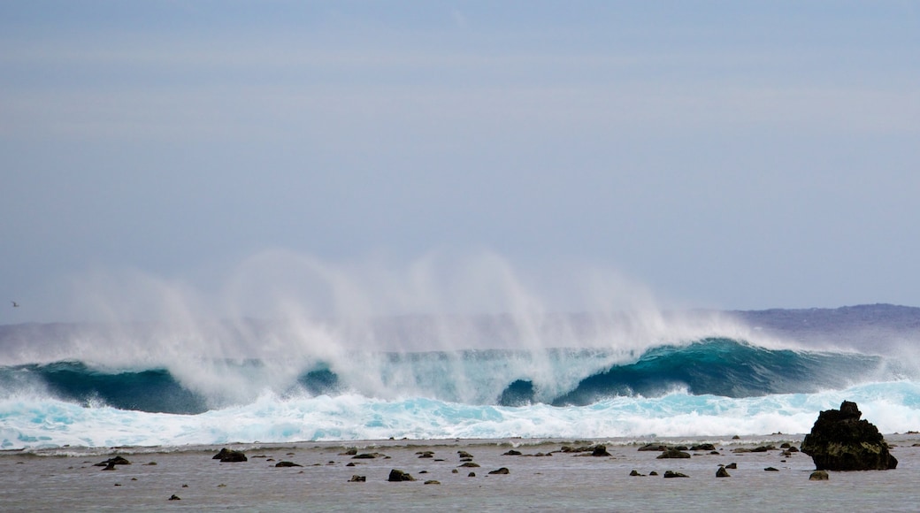 Aro\'a Beach featuring waves