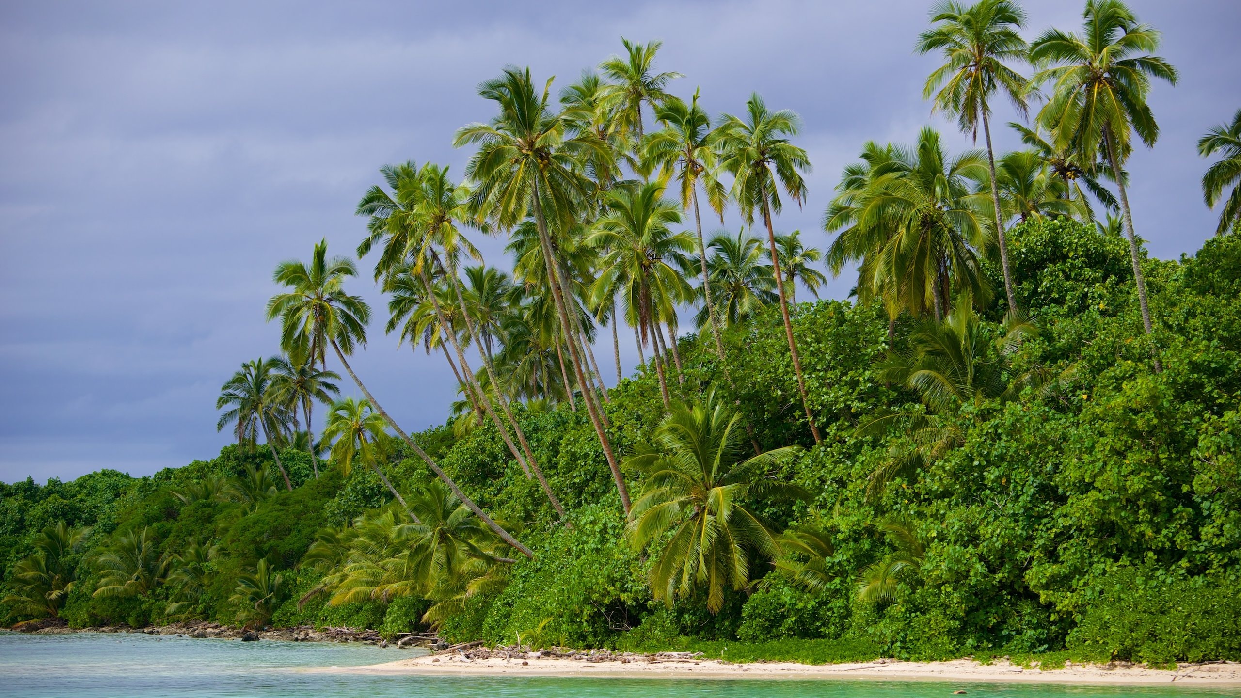 Rarotonga que incluye escenas tropicales y vistas generales de la costa