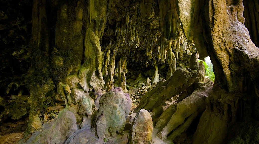 Anatakitaki Cave que inclui cavernas