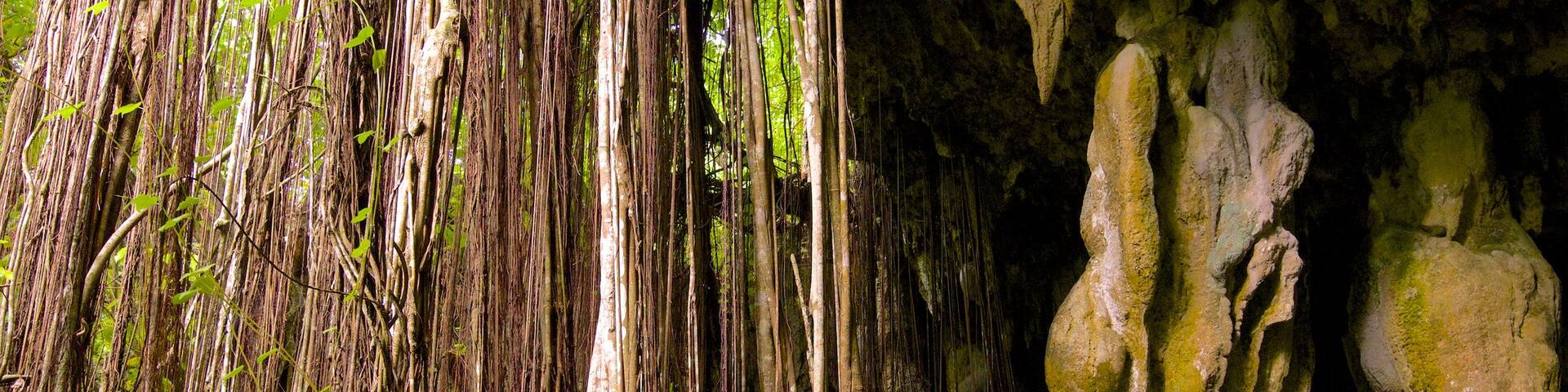 Anatakitaki Cave featuring caves as well as an individual femail