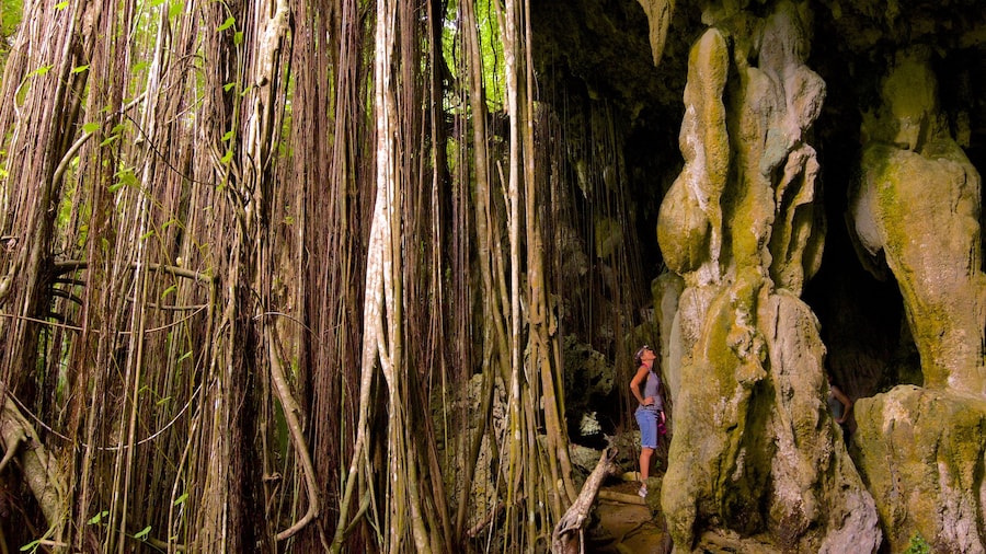 Anatakitaki Cave showing caves as well as an individual female