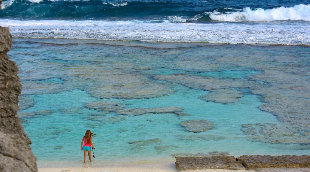 Atiu showing general coastal views as well as an individual femail