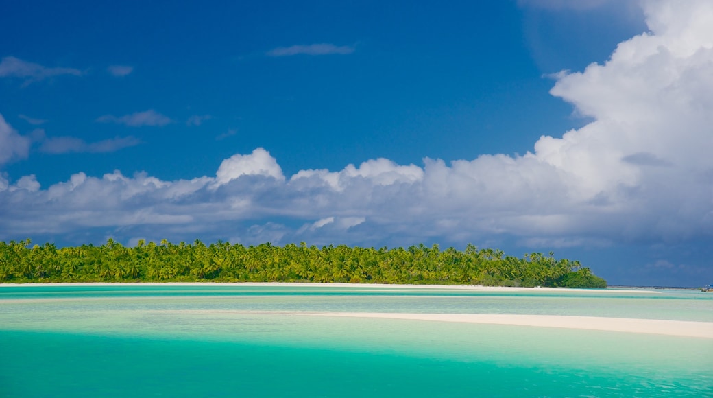 Tekopua featuring tropical scenes