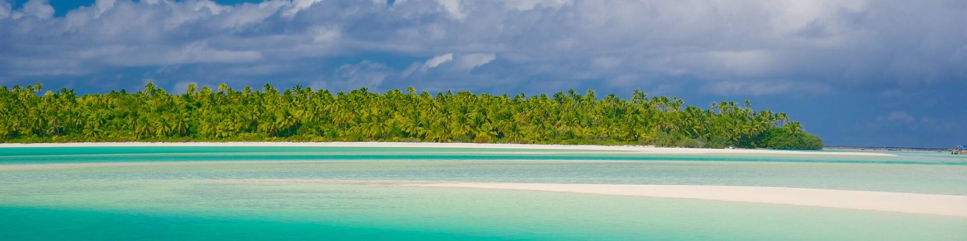 Tekopua featuring tropical scenes