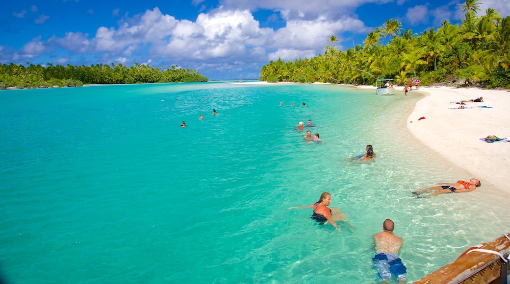 One Foot Island Beach which includes a sandy beach as well as a small group of people