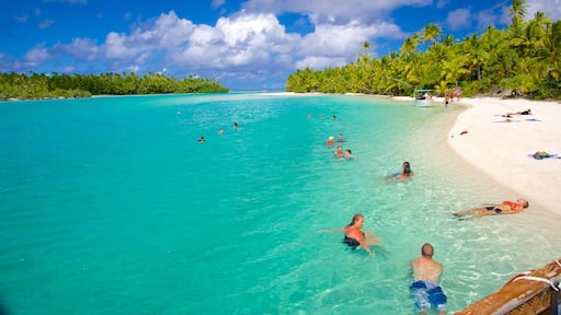 One Foot Island Beach showing a sandy beach as well as a small group of people