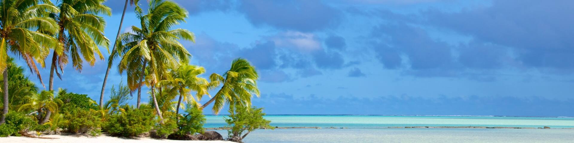 One Foot Island Beach which includes a sandy beach and tropical scenes