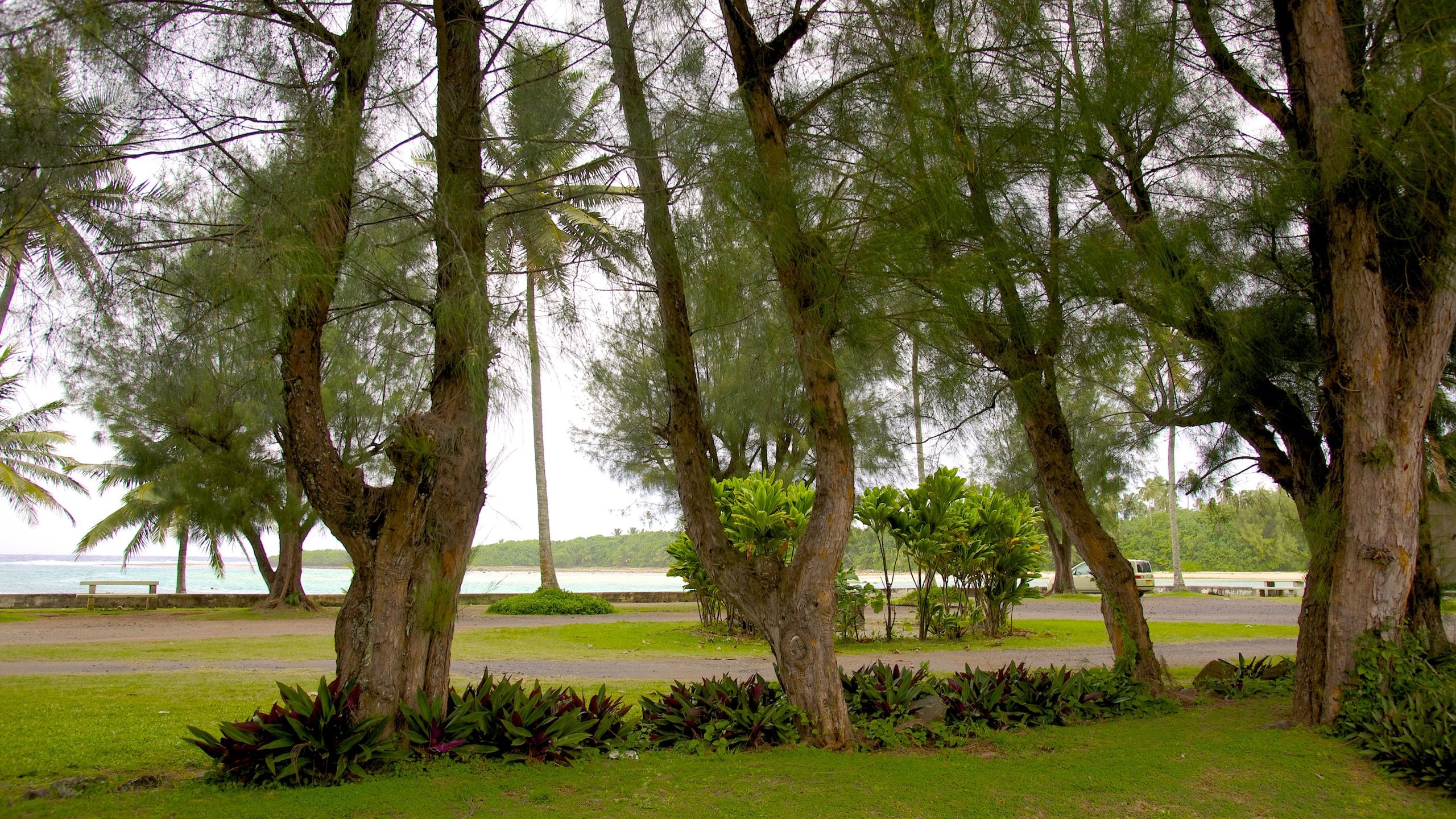 Ngatangiia, Rarotonga Vacation Rentals house rentals & more Vrbo
