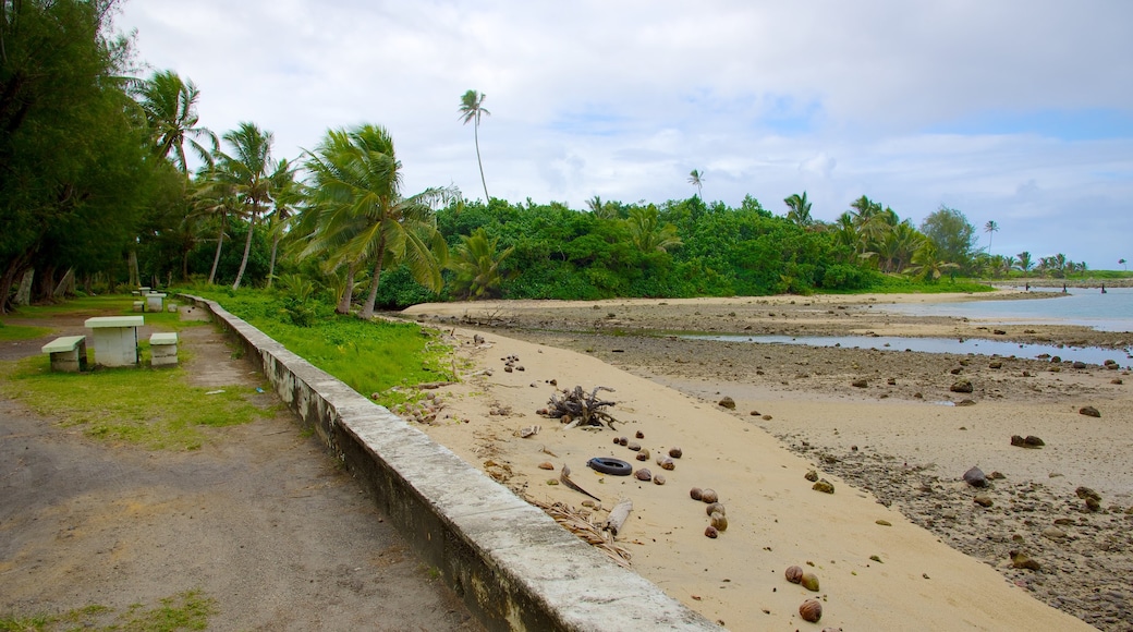 Ngatangiia ofreciendo una playa de piedras