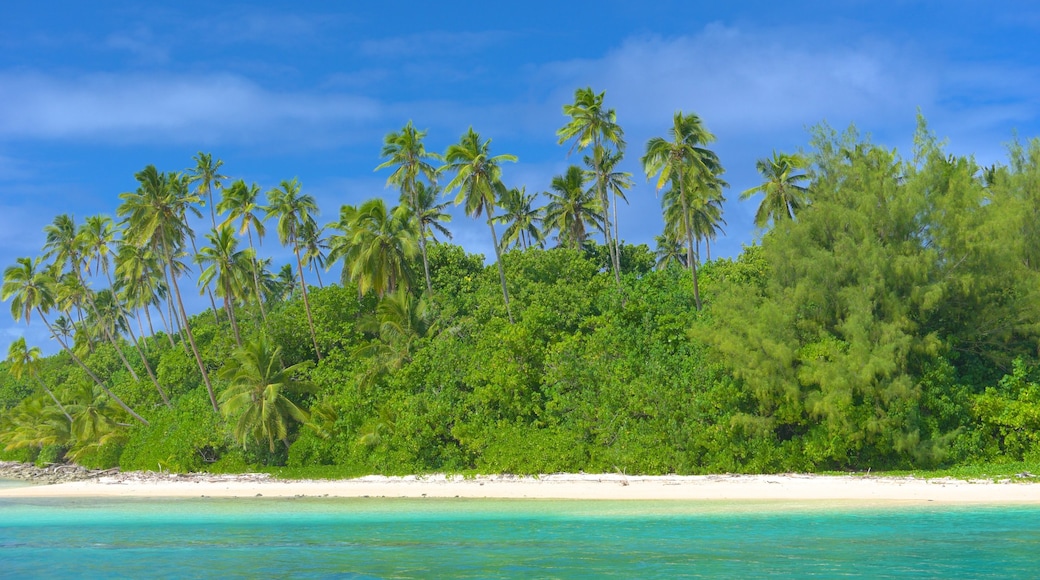 Muri Beach showing a beach