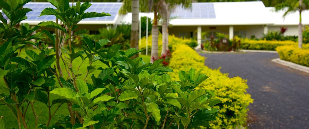 Titikaveka showing a garden