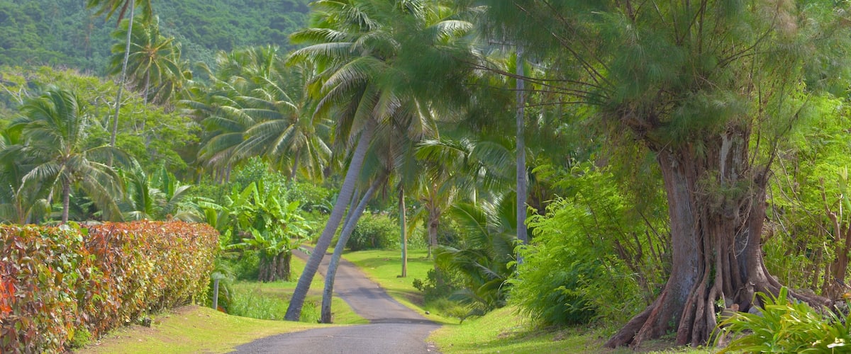 Titikaveka showing tranquil scenes
