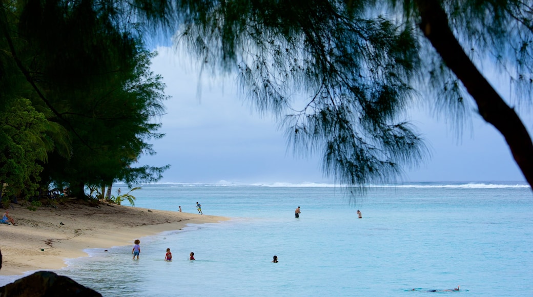 Aroa Beach which includes a beach