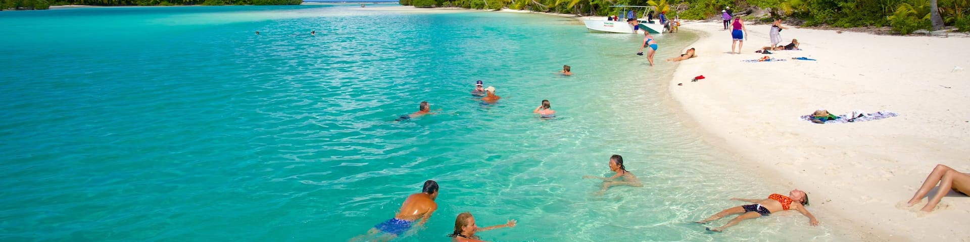 One Foot Island Beach featuring a beach and tropical scenes as well as a small group of people