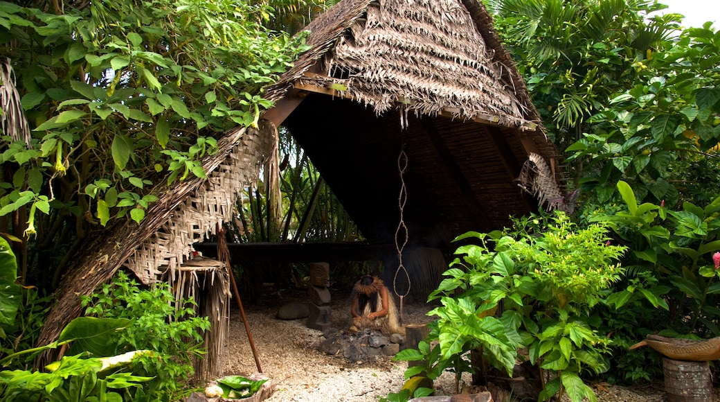 Te Vara Nui Village mit einem Kultur indigener Völker